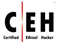 ceh certification philippines|Ethical Hacking Training Philippines .